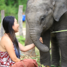 A vet student sitting with an elephant.