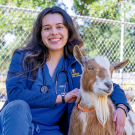 Vet with goat.