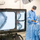 Two surgeons performing a procedure at the the Advanced Veterinary Surgery Center.